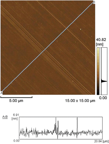 Figure 5. Topographic image of the surface of the alignment film rubbed with the rayon cloth.