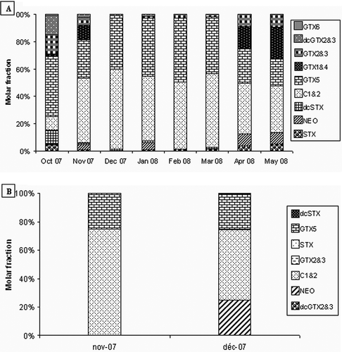 FIGURE 4 Mean percentages of STX congeners calculated from molar weights in contaminated mussels (a) and oysters (b) collected in Bizerte lagoon from October 2007 to May 2008.