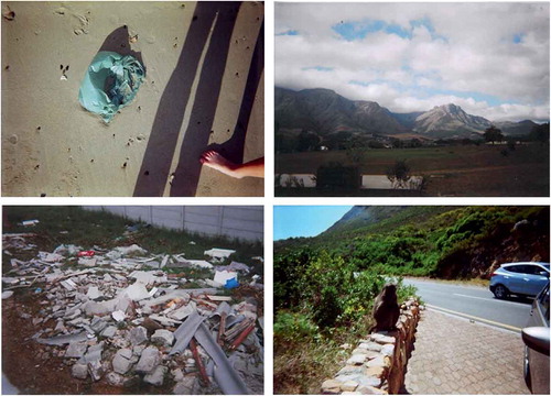 Figure 4. Photographs showing the unsafe spaces in children’s communities. In particular, we see a littered field (where the potential for children being assaulted or kidnapped is high), open green space which children are unable to access, and ‘wild’ nature (evident in the picture with the baboon).