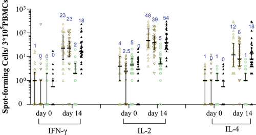 Figure 5. RBD-specific IFN-γ, IL-2, or IL-4 secreting T-cells measured by ELISpot assay.