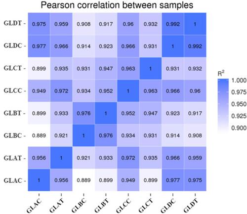 Figure 2 Heatmap of Pearson correlations of the miRNA expression levels among samples.