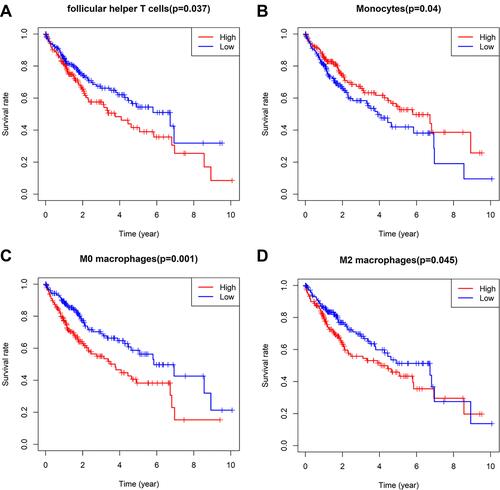 Figure 4 Kaplan-Meier curves of follicular helper T cells (A), monocytes (B), M0 (C) and M2 macrophages (D) for overall survival in HCC patients.