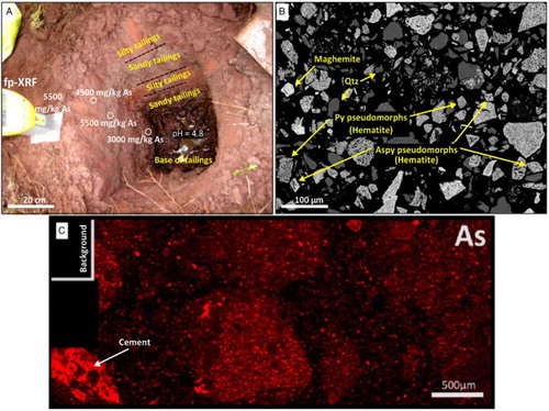 Figure 4. Images of red tailings material. A, Hole dug in tailings, showing the bedding and varying arsenic concentrations down the hole. B, Scanning electron microscopy backscatter image showing rhombic-shaped pseudomorphs of arsenopyrite (aspy), cubic-shaped pseudomorphs of pyrite (py), quartz (qtz), and some non-porous maghemite. C, Energy-dispersive spectroscopy arsenic map of red tailings, showing the heterogeneous distribution of arsenic on the micron scale with the high arsenic cements and metal(loid) oxides.