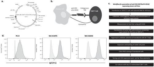 Figure 2. Generation of anti-CD3 expressing tumor cell lines.