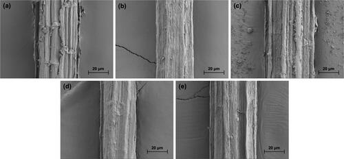 Figure 3. Scanning electron micrographs of (a) untreated PALF, (b) treated PALF with the traditional method (5% w/v NaOH, 24 h), and treated PALF with (c) 1%, (d) 3%, and (e) 5% w/v NaOH solutions using the ultrasound-assisted method (20 min) at magnification 1000X.