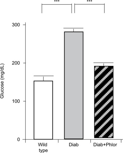 Figure 2 Serum glucose levels at 15 weeks of age in wild type, Akita diabetic mice (Diab) and Akita diabetic mice treated with phlorizin (Diab+Phlor), as described in the Methods section.