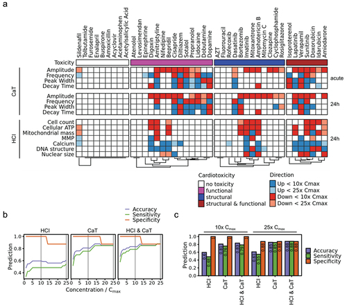 Figure 1. Characterization of hiPSC-CM compound responses with HCI and CaT assays. a) Compound response map. Compounds are shown in columns grouped by cardiotoxicity. Assays readouts are shown in rows grouped by assays system and treatment duration. The MEC and the response direction (blue: up, red: down) were determined for each readout. MECs below 10x or 25x Cmax are indicated by intense or light shading, respectively. b) Cardiotoxicity classification metrics. Compounds were classified as cardiotoxicants if the MEC of at least one readout in a) was below a dynamically selected Cmax threshold. Compound cardiotoxicity predictions were then classified as false/true positive/negative based on Table 1. Prediction metrics are shown for the use of HCI, CaT or the combination of both assays. c) Cardiotoxicity prediction metrics at fixed 10x and 25x Cmax thresholds indicated as vertical gray lines in b).