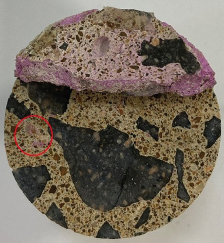 Figure 4. Specimens used for carbonation depth analysis.