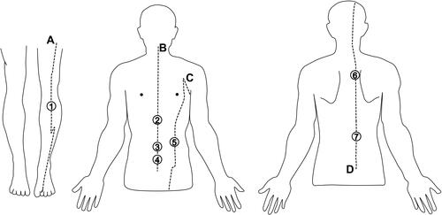 Figure 2 High-frequency selected acupoints.