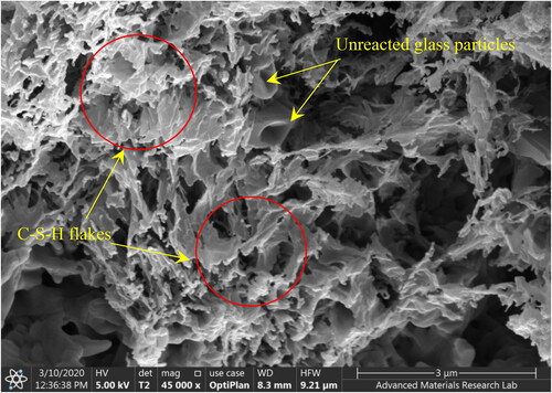 Figure 14. SEM micrograph of M80G20 mortar mixture.