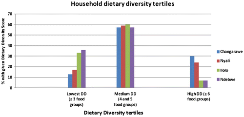 Figure 1. Dietary diversity strata.
