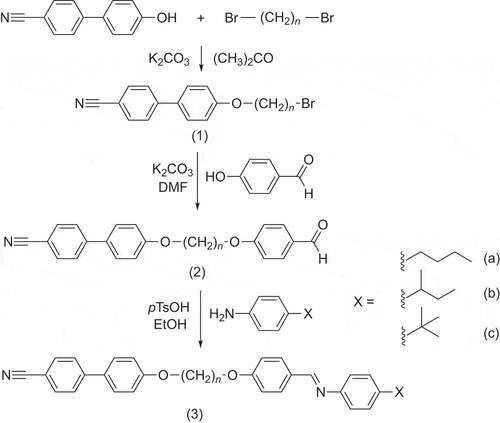 Scheme 1. Synthesis of the CBOnO.X dimers, where n = 4, 5, 6, 11 or 12 and xX = n-, sec- or tert-butyl.