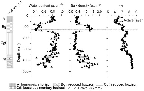 FIGURE 4. Variation of total water content, bulk density, and pH with depth at Site B.