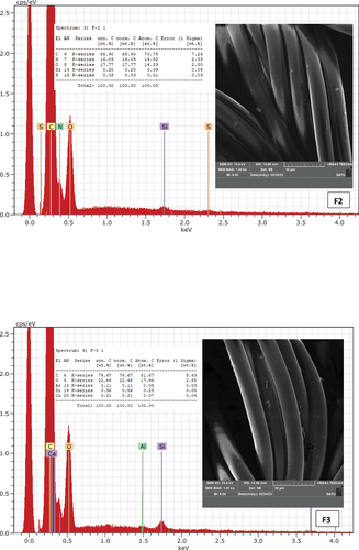 Figure 5. SEM EDX test results and images.