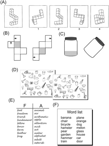 Figure 2. Overview of cognitive sex differences. Tasks favouring males (A) Redrawn Vandenberg and Kuse Mental Rotation Test: Which of the four stimuli are identical but rotated versions of the target figure? (with permission from Peters et al., Citation1995) (B) Paper folding test: Do the two arrows meet when the cube is folded? (adapted from Shepard & Feng, Citation1972) (C) Water level test: A line representing the water level needs to be drawn into the empty jar. Tasks favouring females (D) Object location memory test: Which items have changed its position? (adapted from Silverman & Eals, Citation1992) (E) Verbal fluency: Generate as many words as possible that start with the letter “F” or “A”. (F) Verbal memory: How many words from a list can be recalled?