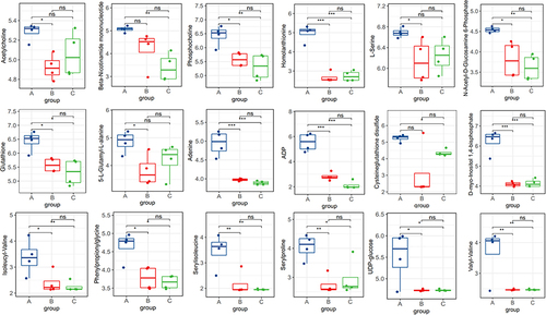 Figure 13 Comparison statistics between groups of hallmark metabolites downregulated in rats. *P < 0.05,**P < 0.01, ***P < 0.001.