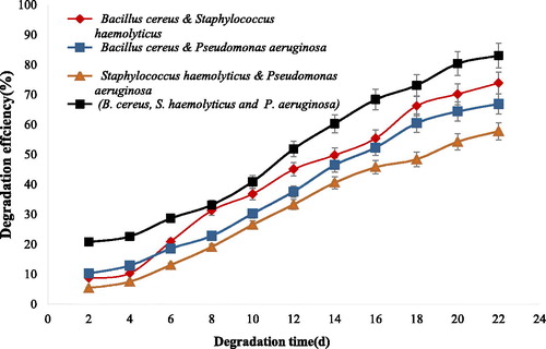 Figure 6. Degradation efficiency of crude oil by consortia of isolated bacteria. Note: Each color shows combinations of each treatment. Data are means ± SD of triplicate determinations.