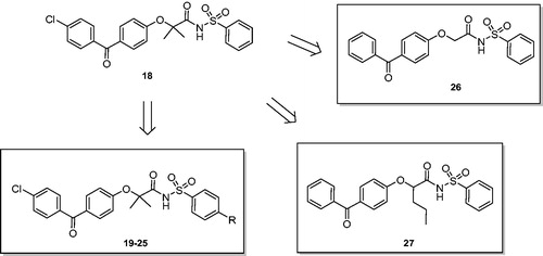 Figure 1. From lead compound 18 to novel benzenesulphonimides 19–27.