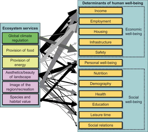 Figure 4. Identified potential linkages between ecosystem services impacted by offshore wind farming and determinants of human well-being.