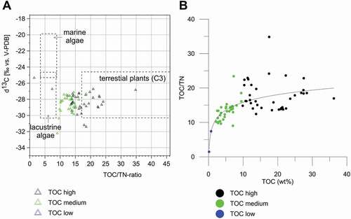 Figure 10. OM characteristics of polygon cores from the Indigirka Lowland and the Kolyma Delta. (A) distribution of the TOC/TN ratio: δ13CTOC relationships according to Meyers (Citation1997). (B) correlation of TOC and the TOC/TN ratio