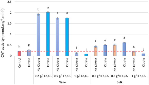 Figure 4. The CAT activity of different nα-Fe2O3 and bα-Fe2O3 treatments at 4 levels (0, 0.2, 0.5, 1 g.L−1) with and without citrate interaction. Mean values followed by different letters are significantly different at P < 0.05 according to Duncan’s multiple range test.