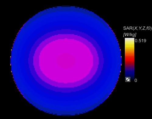 Figure 2 Distribution of SAR of the culture medium inside a standard petri dish (35-mm) exposed to 1,800 MHz radiofrequency fields (power densities, 200.27 μW/cm2).Abbreviation: SAR, specific absorption rate.