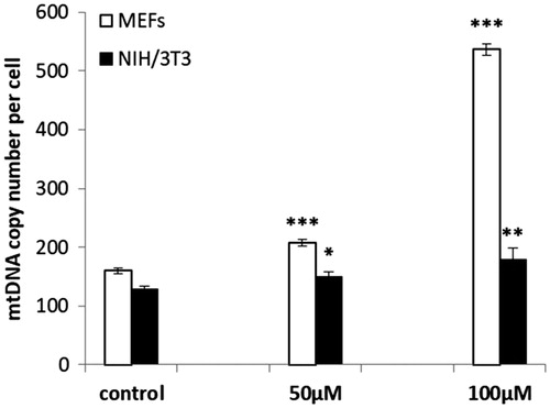 Figure 4. mtDNA copy numbers in MEF and NIH/3T3 cells treated with oregonin. The data are presented as a mean ± SD of three independent experiments. *p < .05; **p < .01; ***p < .001 compared to control.