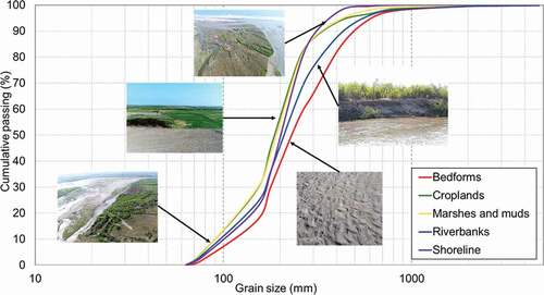 Figure 5. Average particle size distribution and mean grain size (d50) of sediments within the Eten wetland. Photographs illustrate sampling sites
