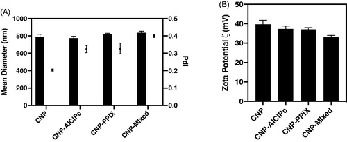 Figure 3. Mean particle hydrodynamic size and polydispersity index (PdI) (A), and Zeta Potential (ζ) (B), of CNP, CNP-AlClPc, and CNP-PPIX.