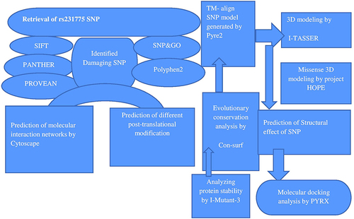 Figure 2 Workflow for in silico analysis.