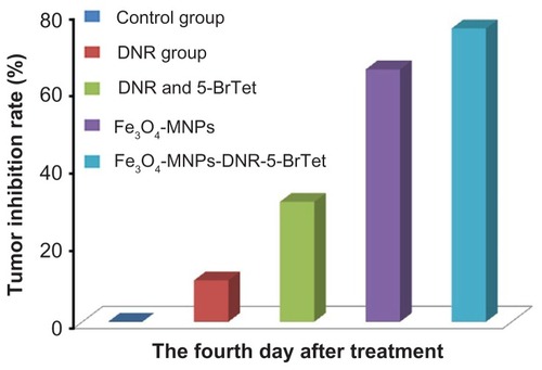 Figure 4 Tumor inhibition rate of mice at day 4 after treatment.Abbreviations: DNR, daunorubicin; 5-BrTet, 5-bromotetrandrine; Fe3O4-MNP, magnetic nanoparticles of Fe3O4.