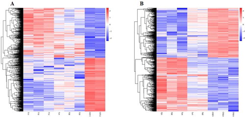 Figure 5. Heatmap analysis of DEGs. DEGs analysis of the ‘HZYTJ’ transcriptome (A) and ‘WZWJD’ transcriptome (B). The DEGs gene expression level is shown by the logarithmic normalized RNA-seq FPKM value.