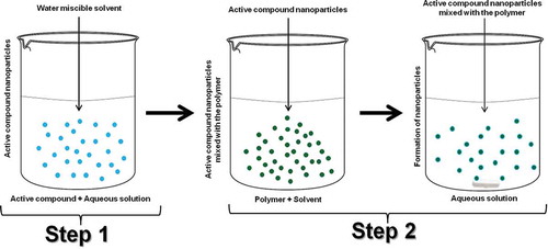 FIGURE 4 Formation of nanoparticles by the two-step nanoprecipitation method with stir bar.