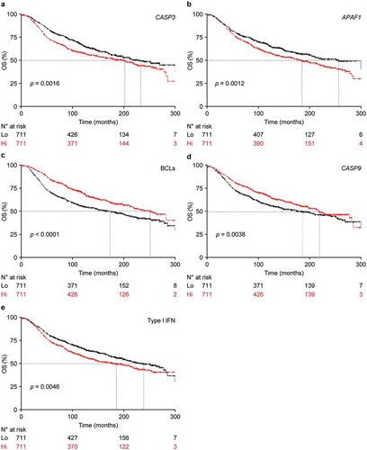 Figure 4. Signatures of apoptotic proficiency are linked to poor survival in breast cancer patients from the METABRIC database.(a–e) Cancer-specific overall survival (OS) of 1422 breast cancer patients from the METABRIC database upon median stratification based on the expression levels of CASP3 (a), APAF1 (b), geometrically meaned BCL2-BCL2L1-MCL1 (c, BCLs), CASP9 (d), or a gene signature of type I IFN signaling (e). N° at risk and p values are reported.