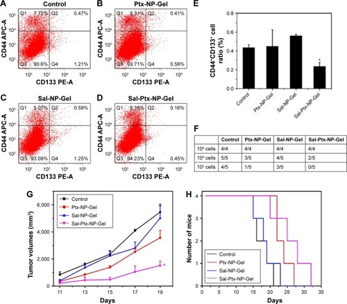 Figure 6 Cancer stem cell inhibition of Sal-Ptx-NP-Gel.Notes: (A), (B), (C) and (D) Flow cytometry detection of CD44+CD133+ cancer stem cells in control, Ptx-NP-Gel, Sal-NP-Gel and Sal-Ptx-NP-Gel groups. (E) CD44+CD133+ cell ratios in each group. *P<0.05 compared with control group. (F) Tumor formation in tumor seeding experiments after primary treatment. (G) Tumor volumes of each group seeded with 106 tumor cells. (H) Survivals of each group seeded with 106 tumor cells.Abbreviations: Sal, salinomycin; Ptx, paclitaxel; NP, nanoparticle; Gel, hydrogel.