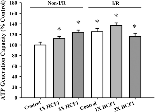 Figure 10.  The effect of long-term HCF1 pretreatment on ATP-GC in mitochondria isolated from control and I/R rat hearts. Rats were orally treated with HCF1 at daily doses of 1.14 and 3.42 mg/kg for 14 consecutive days. Heart mitochondria were isolated and subjected to the measurement of ATP-GC in situ. Data were expressed in percent control with respect to the non-I/R control [Non-I/R control AUC2 (arbitrary unit) value = 1000.02 ± 53.74]. Values given are mean ± SEM, with n = 5. *Significantly different from the non-I/R control group; #Significantly different from the I/R control group.
