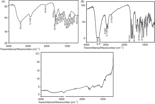 Figure 3.  FT-IR spectrum of pure chitosan (a), pure TA (b), and TA-loaded chitosan microspheres.