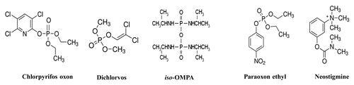 Figure 4. Molecular formula of the AChE inhibitors used in the study.