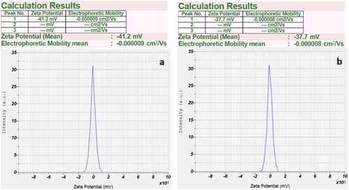 Figure 4. Zeta Potential of pure ethylene glycol dispersed with 0.5% CNT–GNP surface modified with CTAB with a ratio of (2:1) on a) the first day and b) the 60th day.