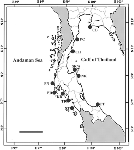 Fig. 1. Collection sites along Thai coasts of the Thai-Malay Peninsula. For abbreviations of provinces see Table 1. Scale bar = 200 km.