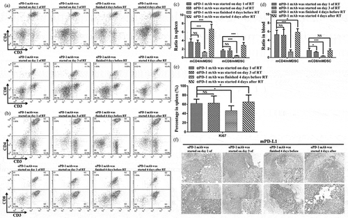 Figure 10. Optimal scheduling of αPD-1 mAb and RT combinatorial therapy is required for effective systemic anti-tumor immune responses.Animals were treated according to the scheme described in Figure 8A. (a) and (b) Representative flow cytometry plots showing the percentages of CD3+, CD4+, and CD8+ T cells in the spleen (a) and blood (b). (c) and (d) Ratios of CD8+and CD4+ T cells to MDSCs in the spleen (c) and blood (d). (e) Quantification of Ki-67 expression in CD45+ cells in the spleen. (f) PD-L1 expression in tumors. *P < 0.05; **P < 0.01; ***P < 0.001. RT, radiotherapy.