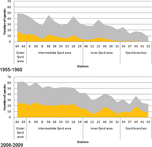 Figure 4. Number of southern species (yellow) and pansectorial species (grey) at stations registered in 1955–1960 and in 2008–2009. The stations are ranked from outer fjord area (Stn 64) to inner part of fjord branches (Stn 33).
