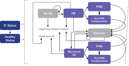 Figure 2. ZONA IC model structure and analysis framework.