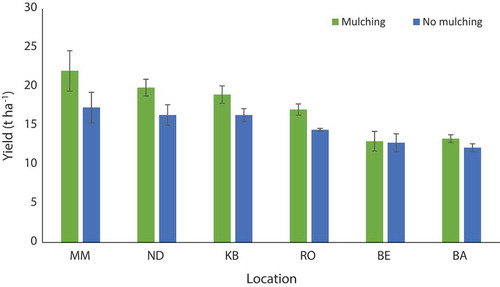 Figure 7. Effect of mulching/no mulching on bitter-gourd yield (mean ± standard error) in 2015 in six different sites: Mahadevsthan Mandan (MM), Nayagaun-Deupur (ND), Kalchhebesi (KB), RabiOpi (RO), Bela (BE), and Baluwa (BA).