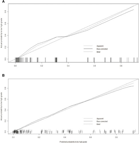 Figure 4 Calibration curves of the nomogram in the development (A) and validation (B) cohort. Calibration curves depict the calibration of final model based on the agreement between the predicted risk of high-grade histological subtype and the observed outcome of high-grade histological subtype. The solid line represents the performance of the nomogram, and the position which was closer to the diagonal dashed line represents a better prediction.