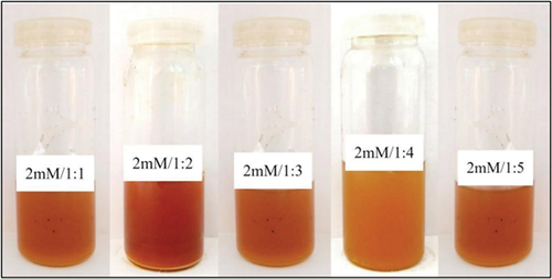 Plate 9. Reaction mixtures with 2mM reagent concentrations and five different extract volumes after placing them for incubation at 60°C for 4h.