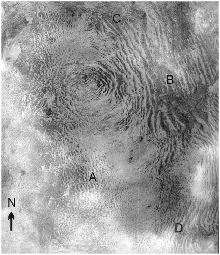 FIGURE 4. (a) Aerial photograph of a dome-shaped hill (location shown on Fig. 1) showing terrace morphologies. A shows contour parallel terraces on west-facing slopes; B indicates contour parallel terraces on east-facing slopes; C and D indicate terraces tilting down-to-west on north-facing and south-facing slopes, respectively. Due to lack of information available on flying height during aerial photography, scale approximate only, 1:1000. 1976 Commonwealth of Australia Series CAS 8467, Run 3, Frame 6. © Commonwealth of Australia (Geoscience Australia) 2013. This product is released under the Creative Commons Attribution 3.0 Australia Licence.