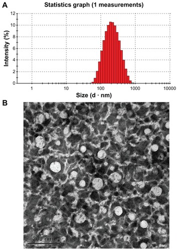 Figure 2 Typical droplet size and distribution of the CLA-PTX microemulsion (A) and transmission electron micrograph of CLA-PTX microemulsion (B).Note: Bar 200 nm.Abbreviation: CLA-PTX, linoleic acid conjugated with paclitaxel.
