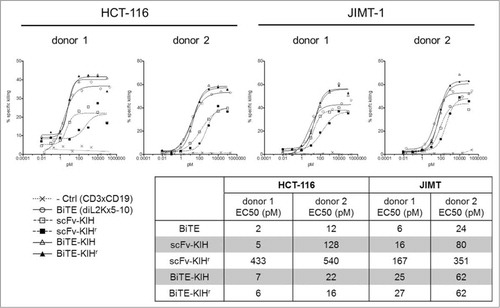 Figure 7. Redirected lysis of EpCAM+ human carcinomas by αEpCAMxαCD3 bispecific antibodies. Redirected lysis of HCT-116 and JIMT-1 cells by 5-10xdiL2K-KIH bispecific antibodies was measured by a FACS-based cytotoxicity assay. CD8 T cell donors, donor 1 and donor 2, were used for both cell line killing assessments at an E:T ratio of 15:1. Representative of 3 independent experiments is shown. Cell-free expressed BiTEs αCD3xαCD19 and 5-10xdiL2K serve as negative and positive controls, respectively.