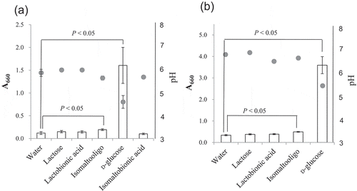 Figure 6. Assimilation of isomaltose and isomaltooligosaccharide by NBRC 3285 and NBRC 3288.NBRC 3285 (a) and NBRC 3288 (b) were cultivated with isomaltose, lactose, lactobionic acid, isomaltooligosaccharide, D-glucose, or isomaltobionic acid. The growth of both of AAB (A660, white bars) and the production of acid (pH, gray circles) were measured to evaluate the assimilation of the sugars. The growth of NBRC 3288 in isomaltobionic acid was not determined. The experiments were performed 3–5 times (means ± standard deviations are plotted). Only the pH measurements for NBRC 3288 were carried out twice (means are plotted). The indicated statistical comparisons were performed using Student’s t tests.